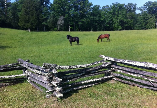 Oscar Blevins Farm, Big South Fork - 44